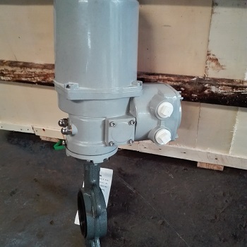 电动软密封对夹式蝶阀