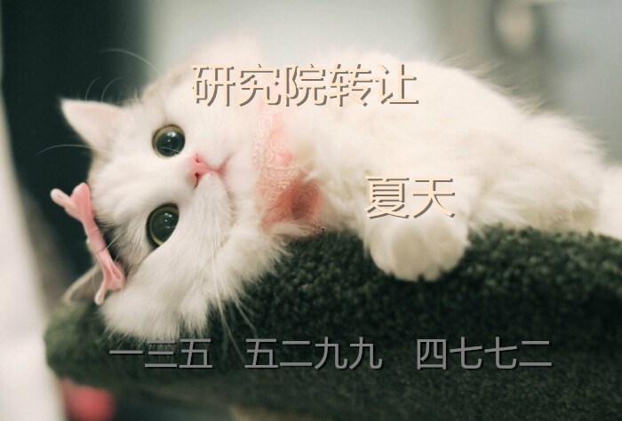 办理注册北京物资回收公司  公司注册