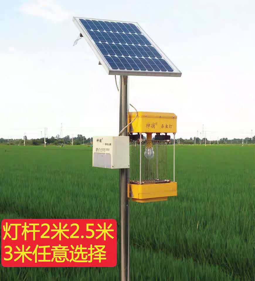 成都太阳能杀虫灯户外——太阳能杀虫灯厂家定制  四川太阳能杀虫灯