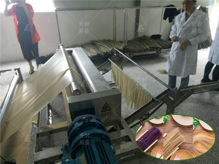 适合办厂用的丽星水晶粉丝生产线不用建晾晒场地  粉条机  粉丝加工设备