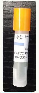 爱斯指示剂115℃压力蒸汽灭菌生物指示剂  115指示剂