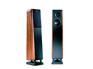 卓丽CYGNUS MKII星座世家 HIFI落地音箱