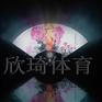 景区水幕投影项目规划