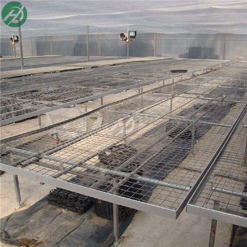 绍兴固定苗床 移动苗床 潮汐苗床  厂家定制  温室苗床