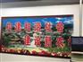 深圳3D学校文化墙体喷绘机外墙墙壁装饰画彩绘打印机