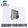 BXK8050-S系列防爆防腐控制箱煤矿专用