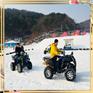 赛道图纸卡丁车项目介绍 大型卡丁车 雪地卡丁车厂家