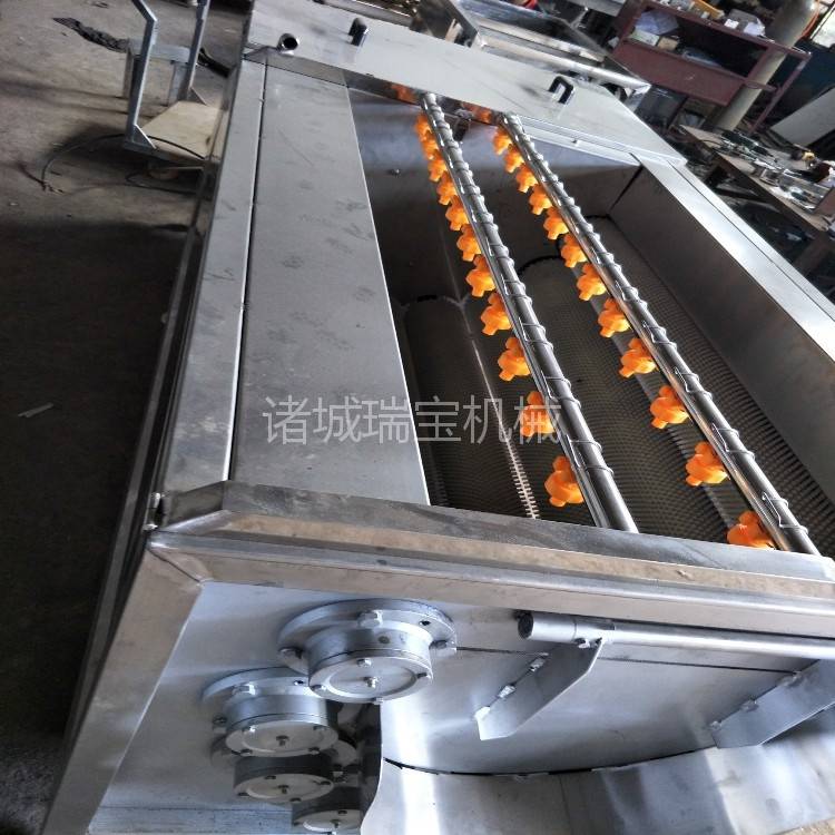 瑞宝海蛎子清洗机 根茎类蔬菜清洗机 商用去皮清洗机