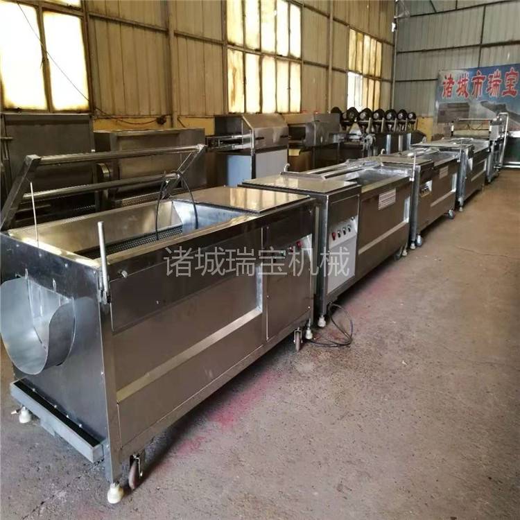 瑞宝海蛎子清洗机 根茎类蔬菜清洗机 商用去皮清洗机