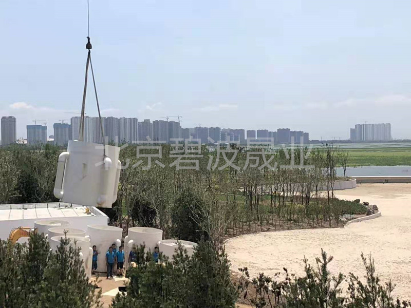 新沂市游泳池水处理设备-BBSY-BB-5A型曝气溶氧精滤机