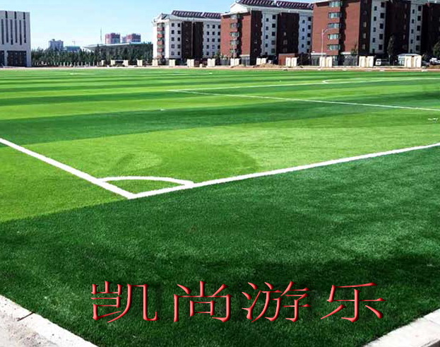 公园学校小区景区人造草坪  游乐设备  人工草坪
