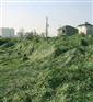 丰台地基盖土网