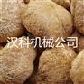厂家定制猴头菇冷风干燥机