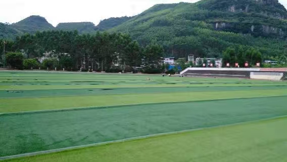 广西东兰人造草坪足球场施工  广西人造草坪  柳州人造草坪
