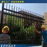珠海庭院锌钢防护栏 潮州围墙栏杆