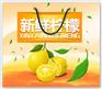 海南纸盒厂 大量订做服装纸箱