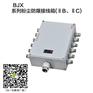 防爆防腐接线箱BJX-8050/不锈钢防爆端子箱BJX