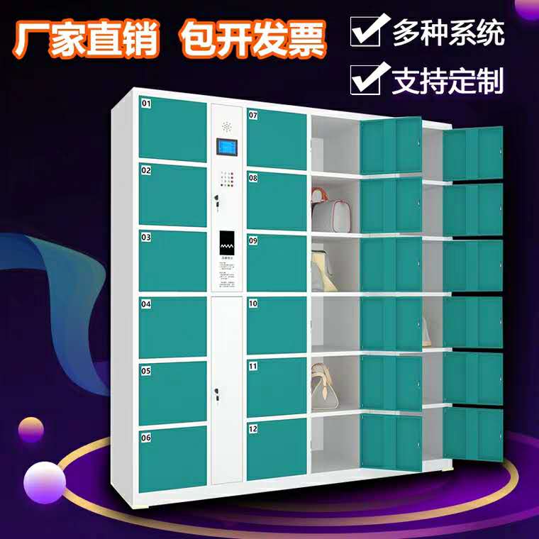 重庆快递柜指纹柜手机存放柜
