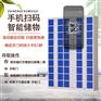 重庆超市寄存柜电子存包柜人脸识别智能手机快递储物柜