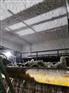 宁波厂库植物纤维喷涂施工团队
