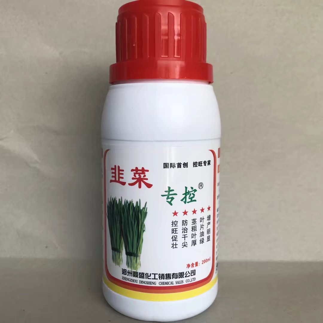 韭菜专控长多多  控制韭菜旺长  防止韭菜倒伏  韭菜叶片宽厚增加分蘖