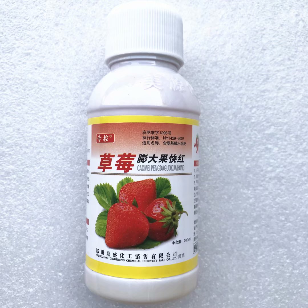 草莓膨大果快红  草莓自然催红  汁多饱满口感香甜  减少畸形果空心果