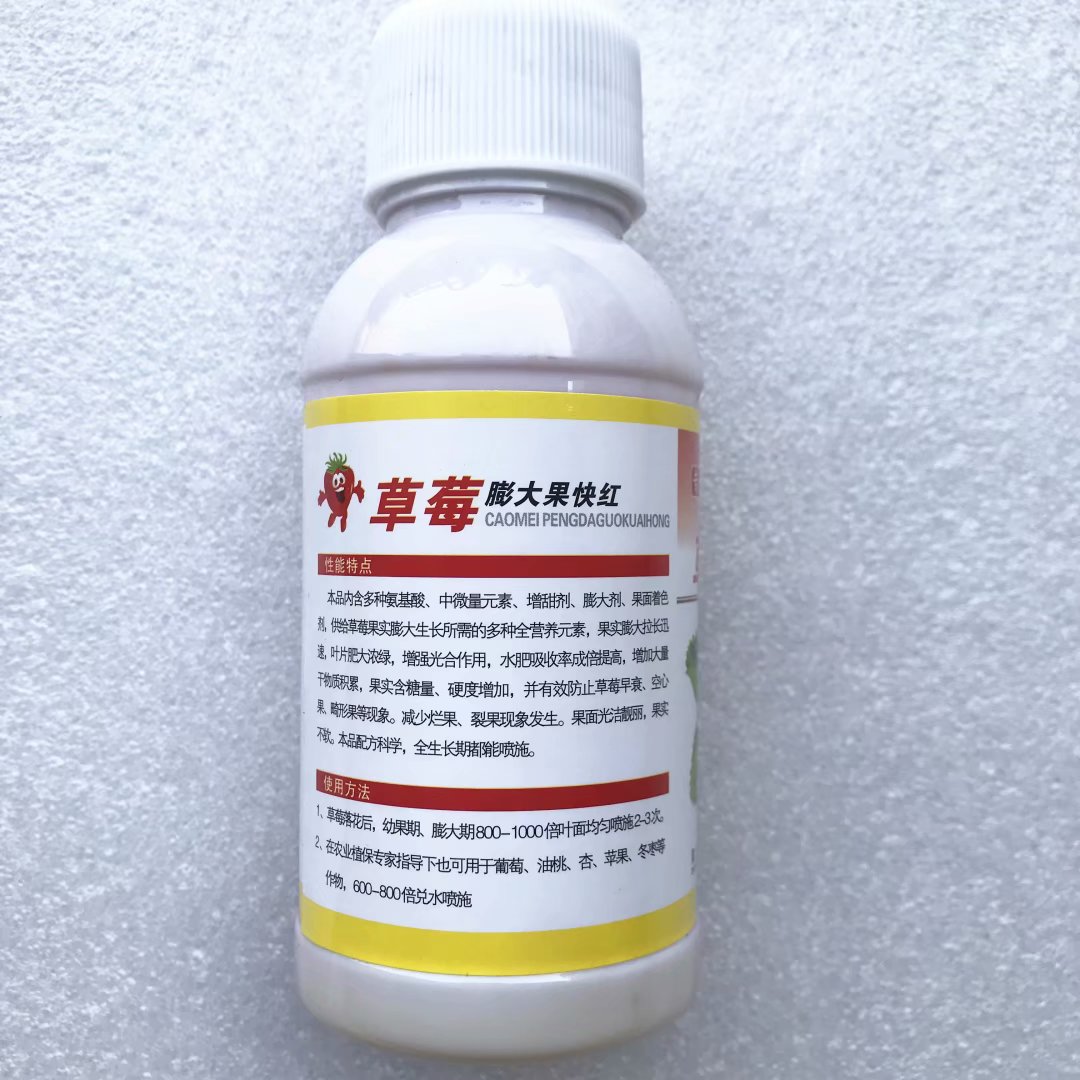 草莓膨大果快红  草莓自然催红  汁多饱满口感香甜  减少畸形果空心果