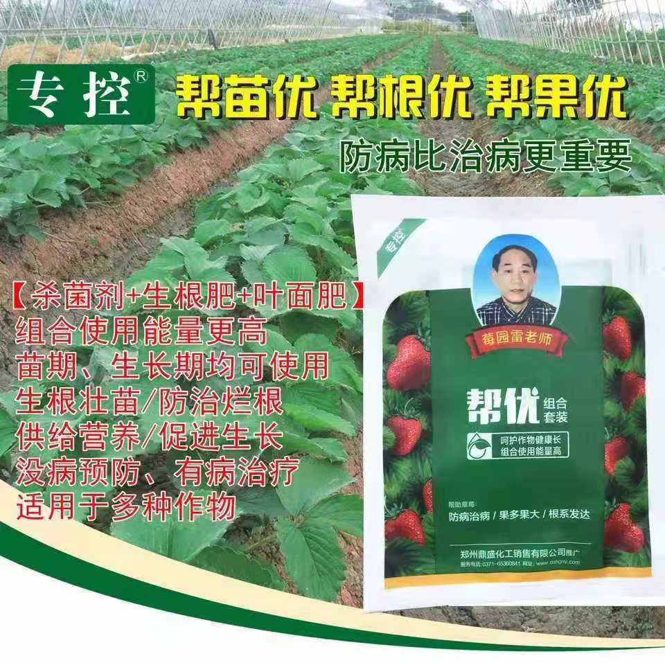 帮优  防治草莓苗弱苗黄  治疗不生根生根慢  促进作物根系发达