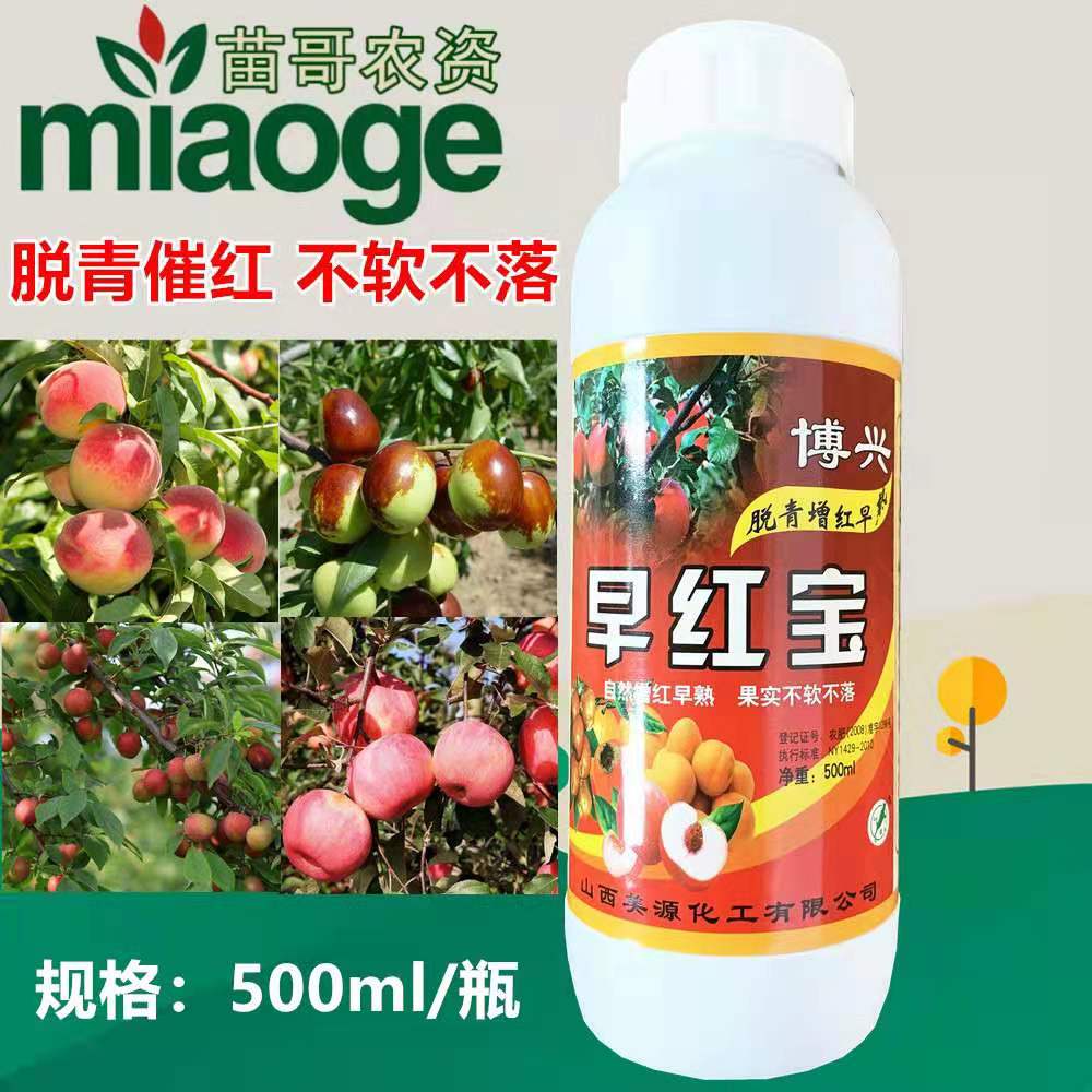 早红宝  果实催红素早红宝  冬枣脱青着色快  不软不落不褪色