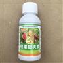 桃果膨大素