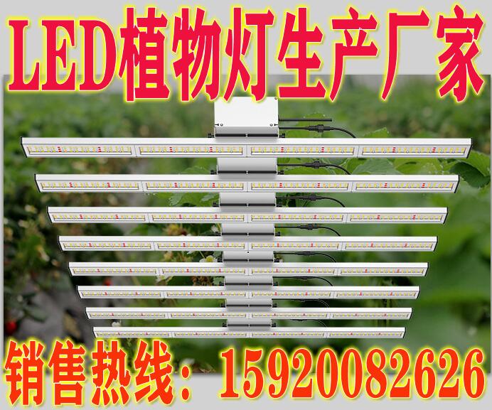 LED植物补光灯  LED植物灯  LED补光灯
