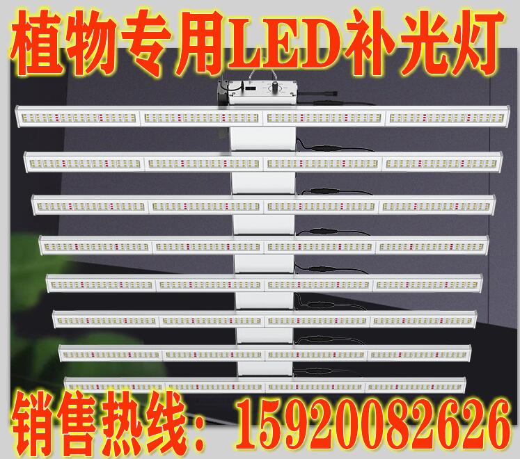 LED植物补光灯  LED植物灯  LED补光灯