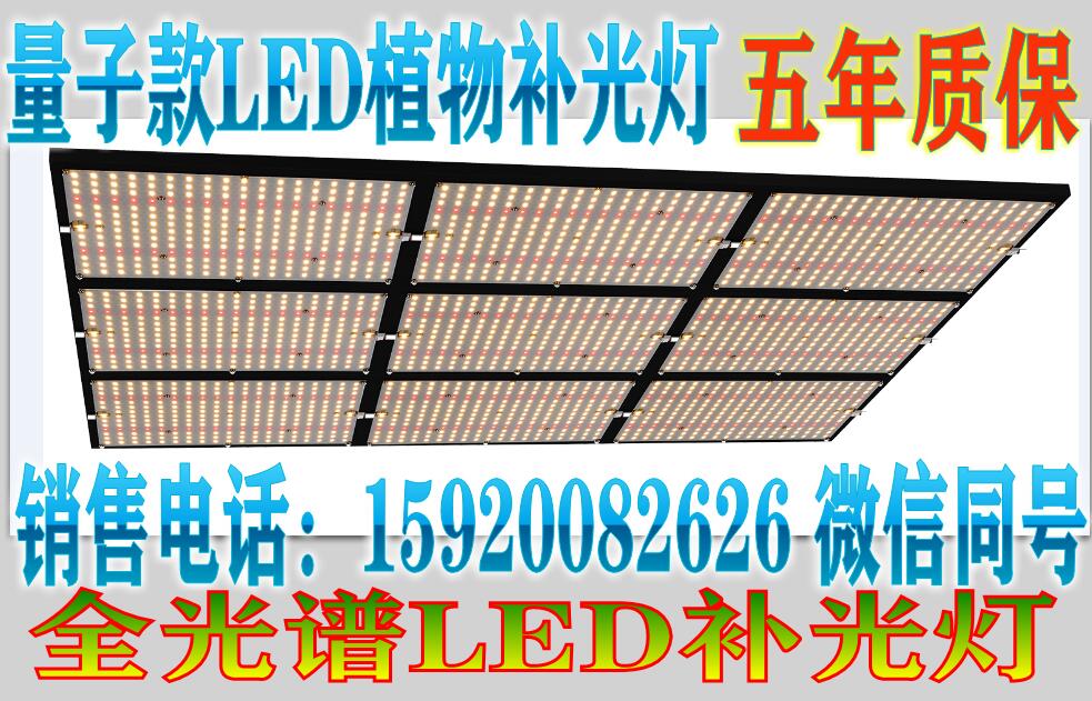 LED植物灯生产厂家  LED植物灯厂家  深圳LED植物灯生产厂
