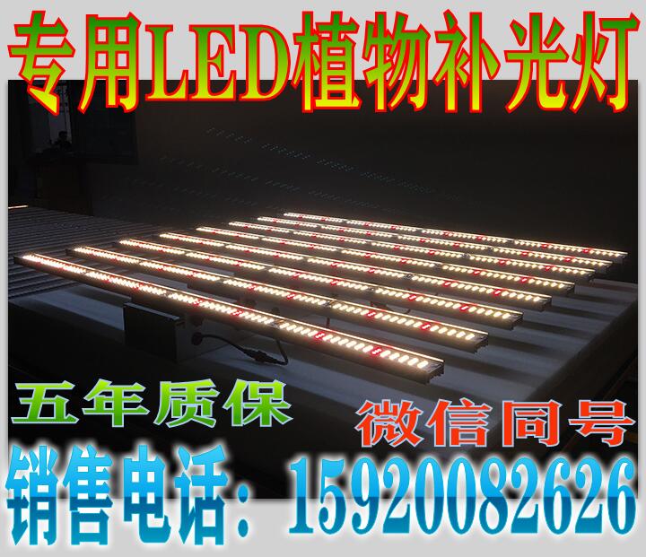 LED植物灯生产厂家  LED植物灯厂家  深圳LED植物灯生产厂