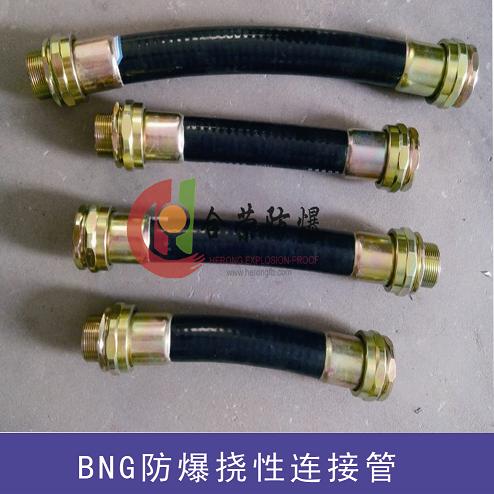 不锈钢防爆挠性连接管 BNG系列防爆软连接管  不锈钢防爆连接管