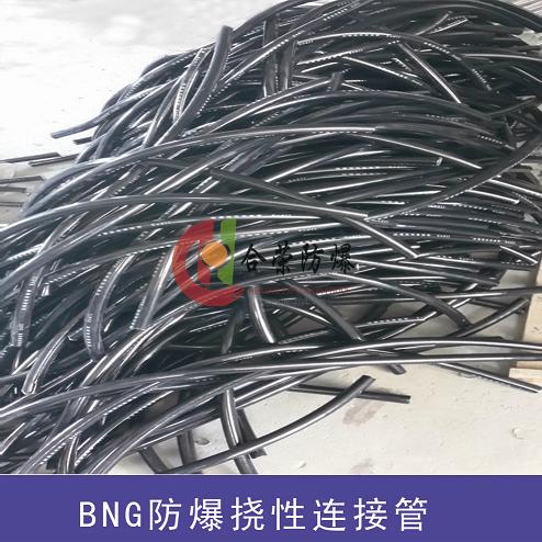 不锈钢防爆挠性连接管 BNG系列防爆软连接管  不锈钢防爆连接管