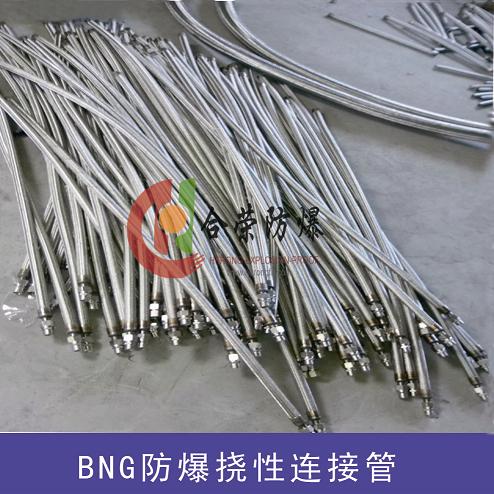 不锈钢防爆挠性连接管 BNG系列防爆软连接管  不锈钢防爆连接管