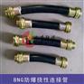 不锈钢防爆挠性连接管 BNG系列防爆软连接管