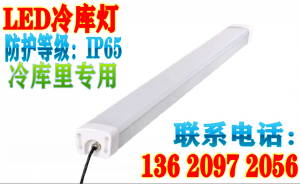 湖北冷库LED专用灯&nbsp;&nbsp;30w冷库专用灯