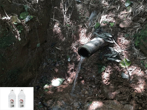 绿鼎再给你说说山泉水可不可直接喝的问题&nbsp;&nbsp;饮用山泉水&nbsp;&nbsp;天然山泉水