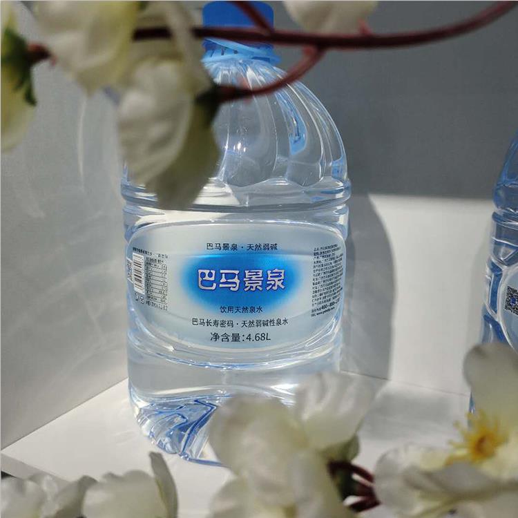 家用桶装水饮水机可用 小桶桶装水  小桶装水  苏打水