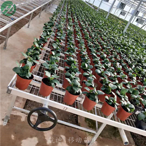 航迪移动苗床地面硬化方案 免费设计  大棚苗床  温室苗床