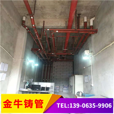 焦作柔性铸铁管dn50-dn300  铸铁排水管
