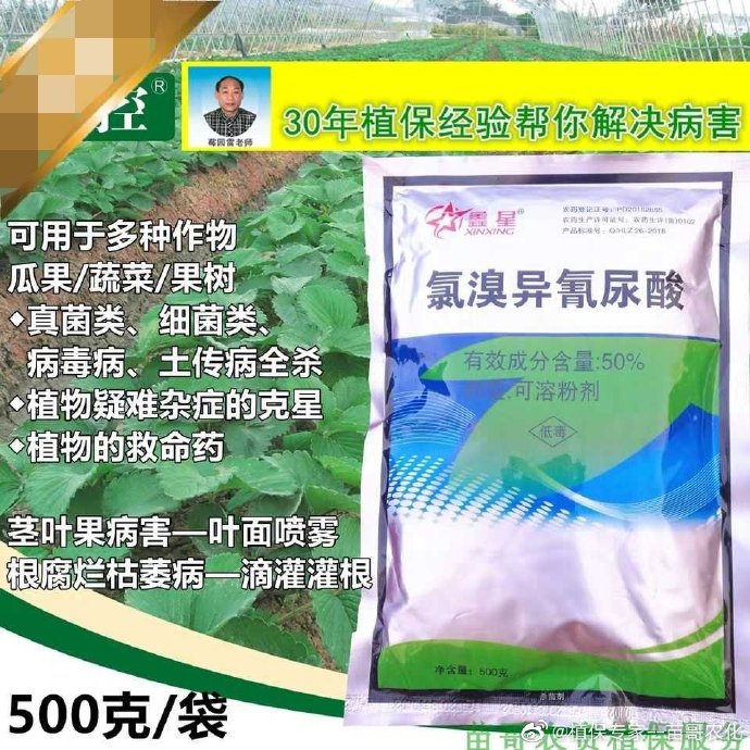 氯溴异氰尿酸  防治草莓灰霉病  防治草莓烂叶烂果病  草莓治疗型杀菌剂