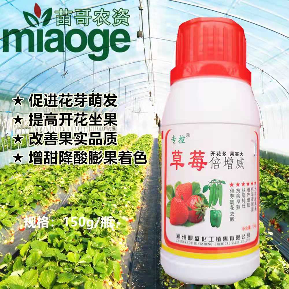 草莓倍增威  草莓开花座果多  草莓增产降酸增甜  草莓催芽调花去酸