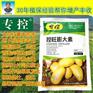 土豆控旺膨大素