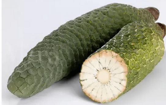 怎么进口美洲蓬莱蕉&nbsp;&nbsp;进口清关&nbsp;&nbsp;进口门到门&nbsp;&nbsp;贸易代理