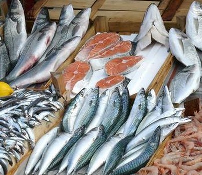 冷冻鱼类的进口流程&nbsp;&nbsp;进口清关&nbsp;&nbsp;进口门到门&nbsp;&nbsp;贸易代理