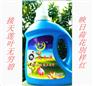 原装老外洗衣液 2kg装 一种柔软低泡洗衣液