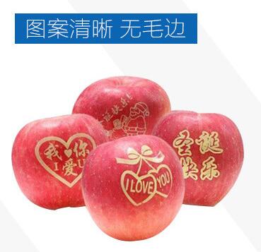 陕西西安苹果印字机 礼县苹果印字机 洛川苹果印字机